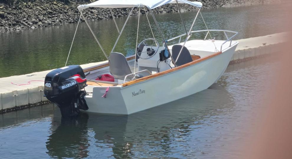 Suzuki Bote 2010 Guayaquil