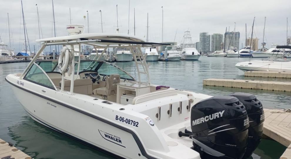 Boston Whaler 270 Vantage 2014 Salinas