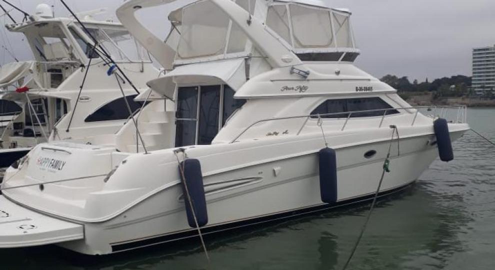 SEARAY 450 Express Bridge 1998 Salinas