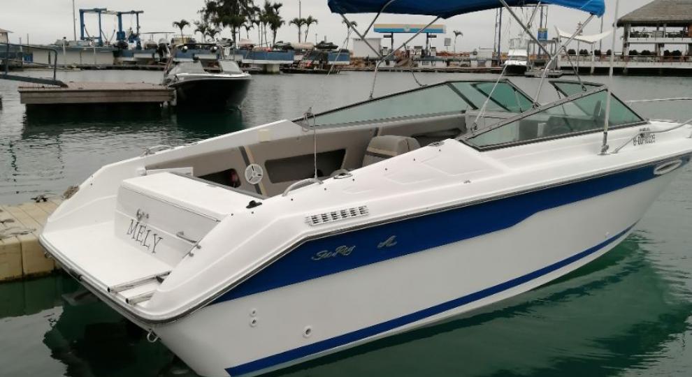 Sea Ray 2300 1991 Salinas