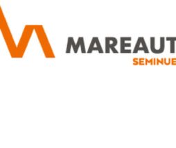 MAREAUTO SEMINUEVOS