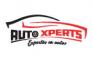AUTO XPERTS