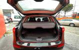 Zotye