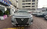 DongFeng