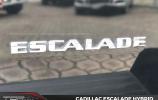 Cadillac