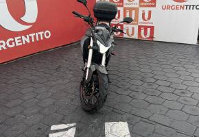 Ranger 300CKR 2023