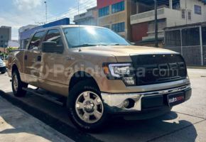 Ford F150 DC 4X2 2013