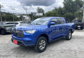 Great Wall POER 2025