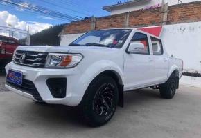 DongFeng RICH P11 TX 2022