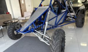 foto de Personalizado Buggy 2025