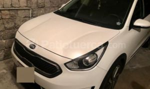 Kia NIRO Hibrido 2019
