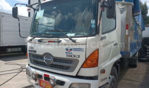 foto de Hino GD 2010