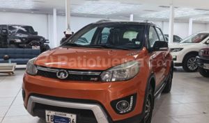 foto de Autos marca Great Wall seminuevo modelo Haval M4 año 2018