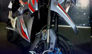 Urvane Cavallino 2025