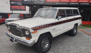 foto de Autos marca Jeep seminuevo modelo Grand Wagoneer año 1980