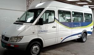 Mercedes Benz—™ Sprinter 313 2011