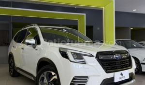 Subaru Forester 2024