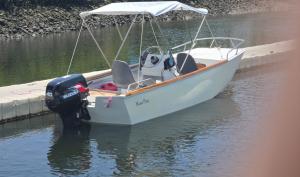 Suzuki Bote 2010