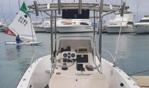 Sunbird 201 1995