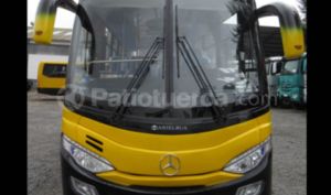 Mercedes Benz—™ LO 915 2019