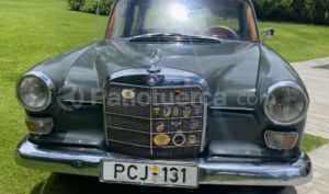 Mercedes Benz—™ 230 1965