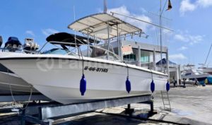 foto de Sunbird 201 1994