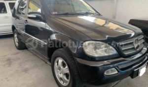 Mercedes Benz—™ ML 350 Special Edition 2004