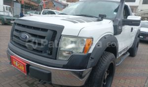 foto de Ford F150 4X4 2010