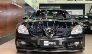 Mercedes Benz—™ SLK 350 AMG 2005