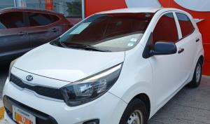 Kia PICANTO LX 2019
