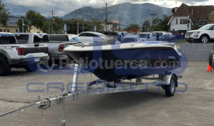 foto de Bayliner M15 2024