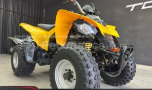 foto de Can-Am DS 250 2019