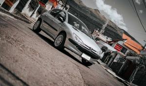 Peugeot Berlina 206 Presence 2004