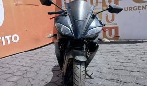 Galardi GL250BR 2020