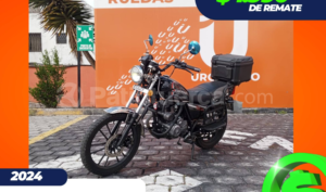 foto de Daytona Speed DY200 2024