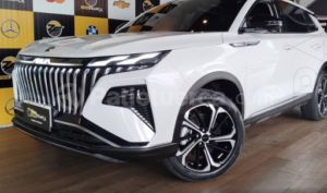 foto de Autos marca DongFeng seminuevo modelo HUGE T año 2023