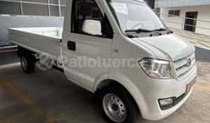 foto de DFSK C31  MINI TRUCK 2025