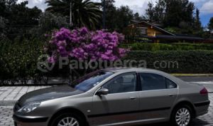 foto de Peugeot 607 2001