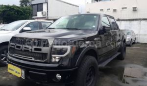 foto de Ford F150 FX4 2009