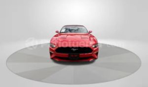 foto de Autos marca Ford seminuevo modelo Mustang año 2023 en Ibarra