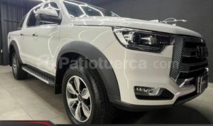 foto de Autos marca JAC seminuevo modelo T8 LUXURY año 2024