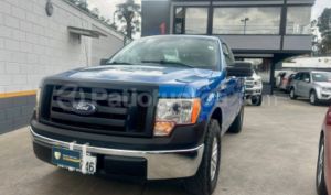 foto de Autos marca Ford seminuevo modelo F150 año 2010