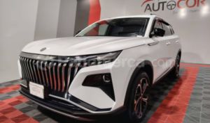 foto de Autos marca DongFeng seminuevo modelo HUGE T año 2026