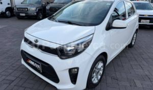 foto de Autos marca Kia seminuevo modelo Picanto año 2019