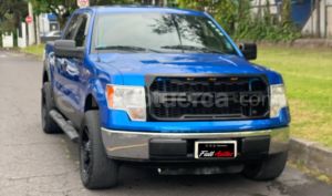 foto de Autos marca Ford seminuevo modelo F150 año 2010