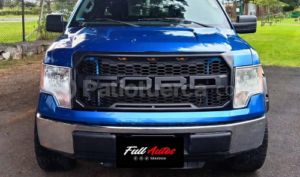 Ford F150 2010
