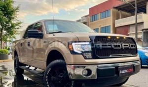 foto de Autos marca Ford seminuevo modelo F150 DC 4X2 año 2013