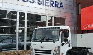 foto de Hyundai EX6 2026