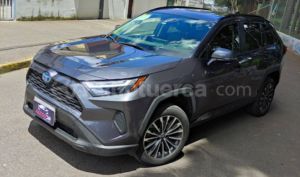 foto de Toyota RAV 4 XLE 2024