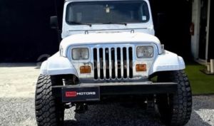 foto de Autos marca Jeep seminuevo modelo Wrangler año 1991